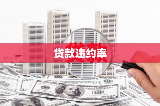 达仁贷款违约率