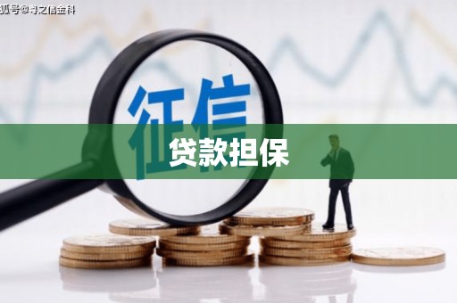 达仁贷款担保