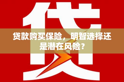 达仁贷款购买保险，明智选择还是潜在风险？