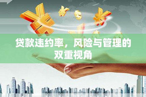 达仁贷款违约率，风险与管理的双重视角