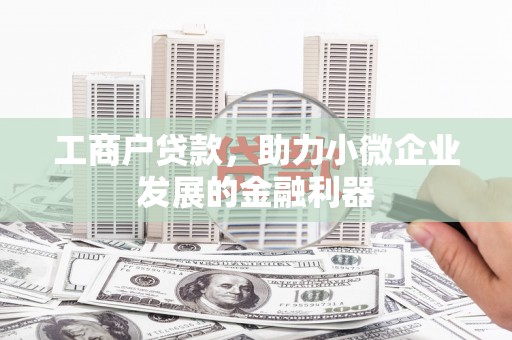 达仁工商户贷款，助力小微企业发展的金融利器