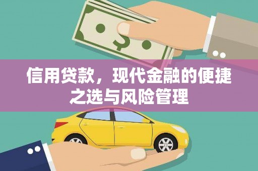 达仁信用贷款，现代金融的便捷之选与风险管理