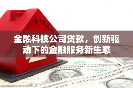 达仁金融科技公司贷款，创新驱动下的金融服务新生态