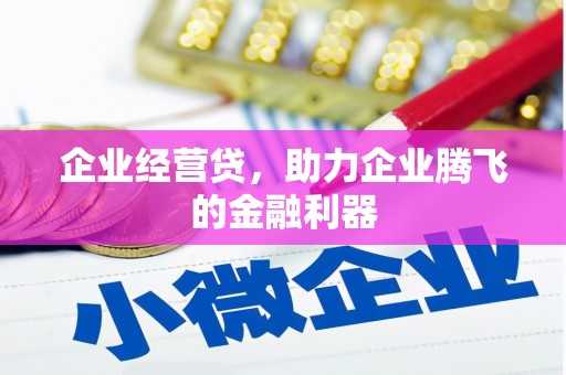 达仁企业经营贷，助力企业腾飞的金融利器