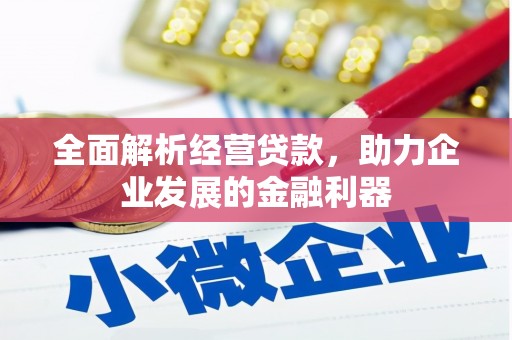 达仁全面解析经营贷款，助力企业发展的金融利器