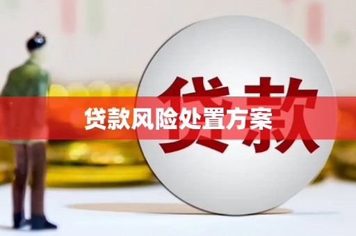 达仁贷款风险处置方案