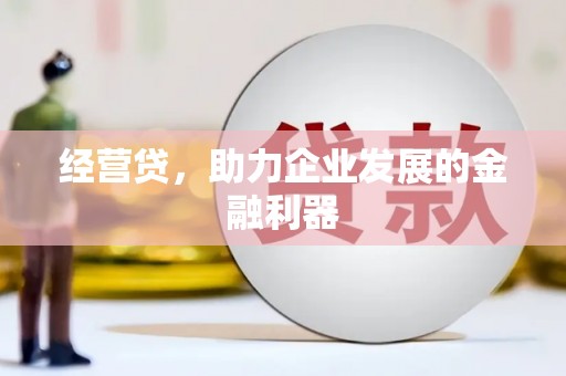 达仁经营贷，助力企业发展的金融利器