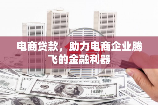 达仁电商贷款，助力电商企业腾飞的金融利器