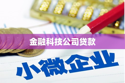 达仁金融科技公司贷款