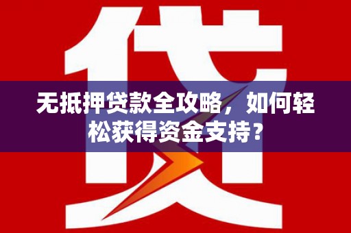 达仁无抵押贷款全攻略，如何轻松获得资金支持？