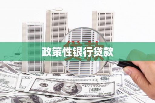 达仁政策性银行贷款