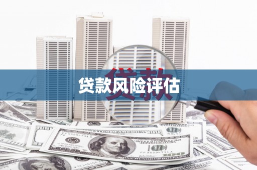 达仁贷款风险评估