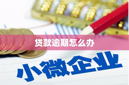 达仁贷款逾期怎么办