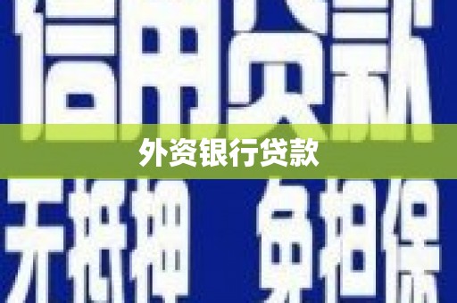 达仁外资银行贷款