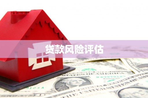 达仁贷款风险评估
