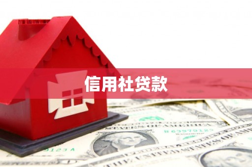 达仁信用社贷款