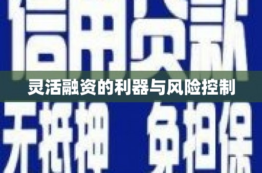 达仁灵活融资的利器与风险控制