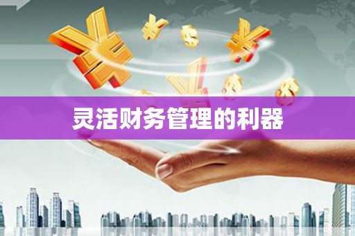 达仁灵活财务管理的利器