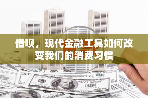 达仁借呗，现代金融工具如何改变我们的消费习惯