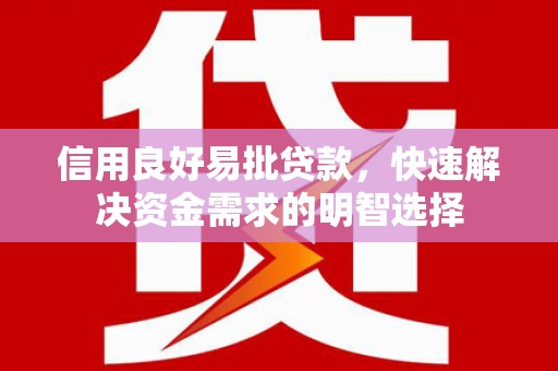 达仁信用良好易批贷款，快速解决资金需求的明智选择