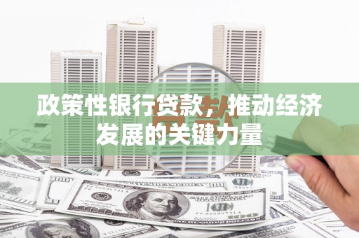 达仁政策性银行贷款，推动经济发展的关键力量