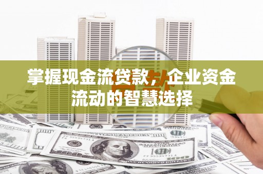 达仁掌握现金流贷款，企业资金流动的智慧选择