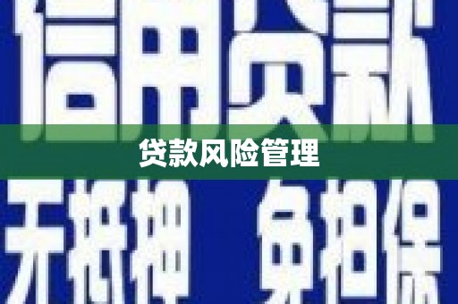 达仁贷款风险管理