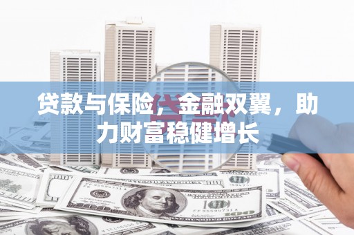 达仁贷款与保险，金融双翼，助力财富稳健增长
