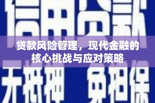 达仁贷款风险管理，现代金融的核心挑战与应对策略