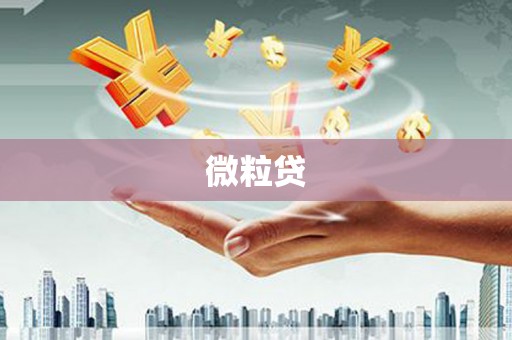 达仁微粒贷