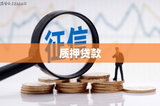 达仁质押贷款