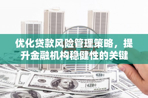 达仁优化贷款风险管理策略，提升金融机构稳健性的关键