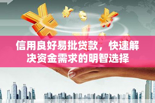 达仁信用良好易批贷款，快速解决资金需求的明智选择