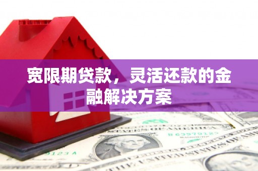 达仁宽限期贷款，灵活还款的金融解决方案