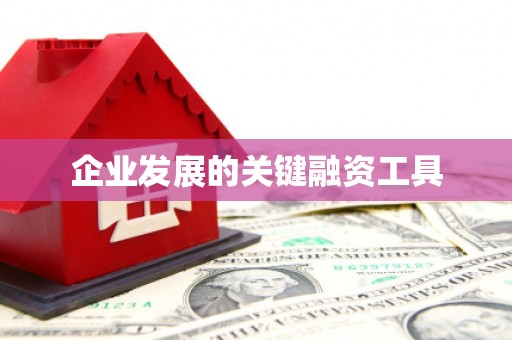 达仁企业发展的关键融资工具