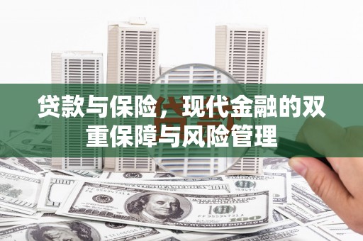 达仁贷款与保险，现代金融的双重保障与风险管理