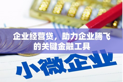 达仁企业经营贷，助力企业腾飞的关键金融工具