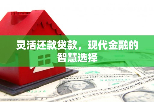 达仁灵活还款贷款，现代金融的智慧选择