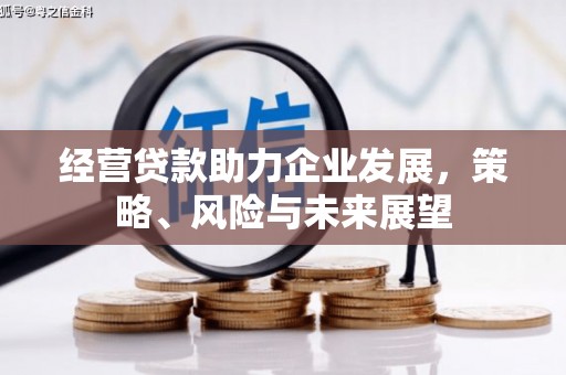 达仁经营贷款助力企业发展，策略、风险与未来展望