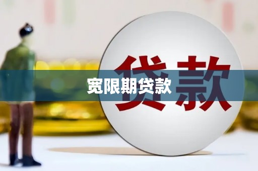 达仁宽限期贷款