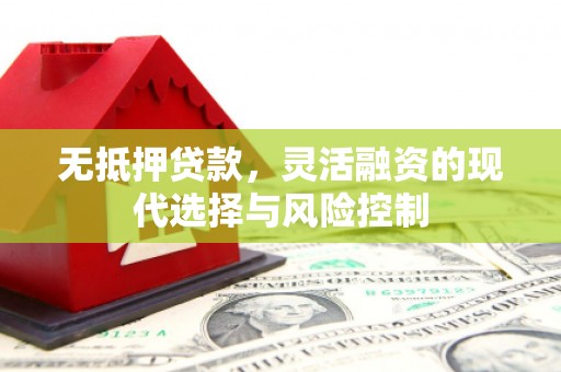 达仁无抵押贷款，灵活融资的现代选择与风险控制
