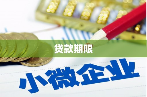 达仁贷款期限