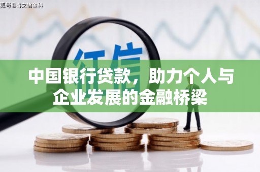达仁中国银行贷款，助力个人与企业发展的金融桥梁