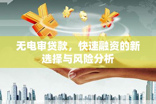 达仁无电审贷款，快速融资的新选择与风险分析