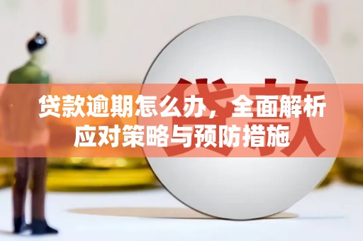 达仁贷款逾期怎么办，全面解析应对策略与预防措施