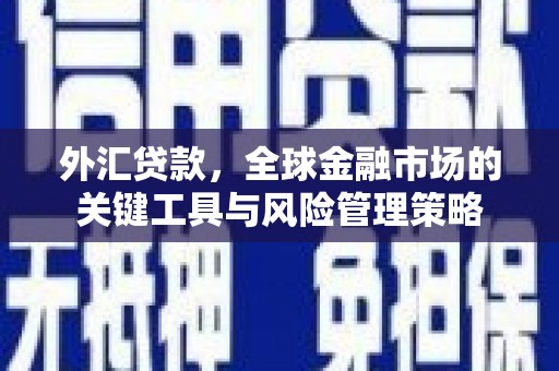 达仁外汇贷款，全球金融市场的关键工具与风险管理策略