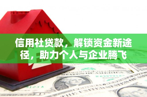 达仁信用社贷款，解锁资金新途径，助力个人与企业腾飞