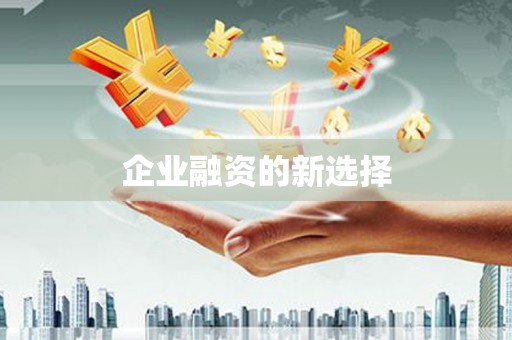 达仁企业融资的新选择