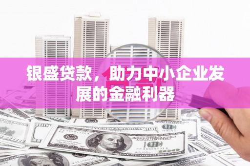 达仁银盛贷款，助力中小企业发展的金融利器