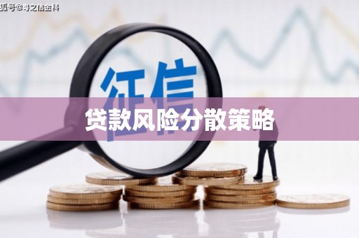 达仁贷款风险分散策略